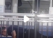校园里的活力瞬间：校长做俯卧撑学生数数